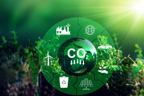 Carbon-insurer-Kita-announce-partnership