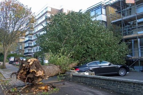 Insurers-expect-to-pay-out-nearly-£500m-for-storms-Dudley,-Eunice-and-Franklin