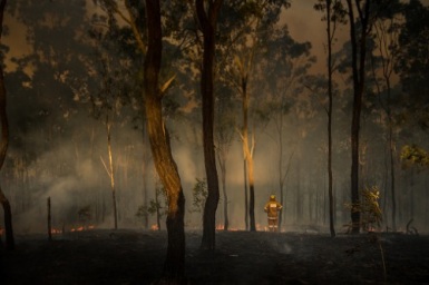 Moody's-Investor-Services-Australian-bushfire-insurance-loss-update