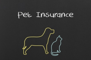 Pet-Insurance-Insurance-Premium-Volume