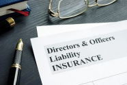 Directors-and-Officers-Insurance