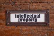 intellectual-property-insurance