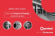 Q-Underwriting-Property-insurance-team