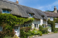 Thatched-cottages-risk-management-advice