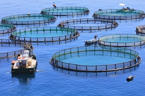 Protecting-fish-farms-from-severe-weather-events