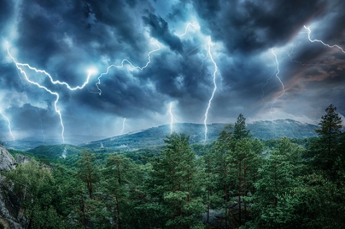 Lightning-rain-forest