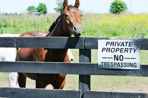 No-Trespassing-Farm