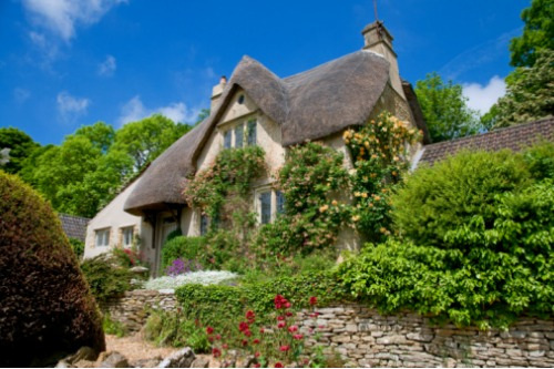 Thatched-property-insurance