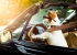 Dog-driving-car