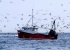 How-the-insurance-industry-can-help-put-an-end-to-illegal-fishing