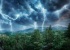 Lightning-rain-forest