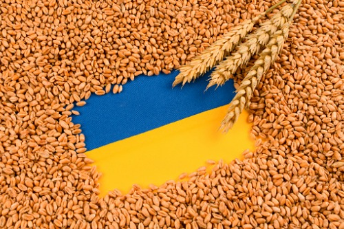 Ukrainian-grain-insurance-deal